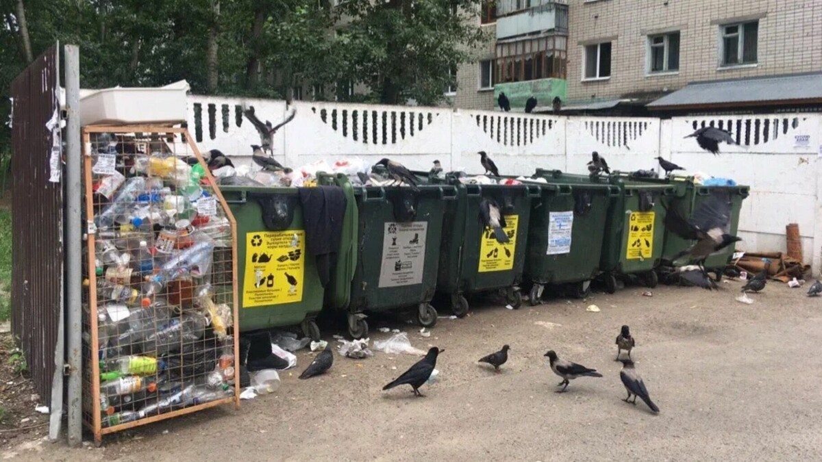     В ходе заседания комитета по экологии, природным ресурсам и охране окружающей среды Государственной Думы РФ Татарстан привели в пример проблемных «мусорных» счетов для бизнеса. Об этом заявил вице-президент общественной организации «Опора России» Алексей Кожевников.