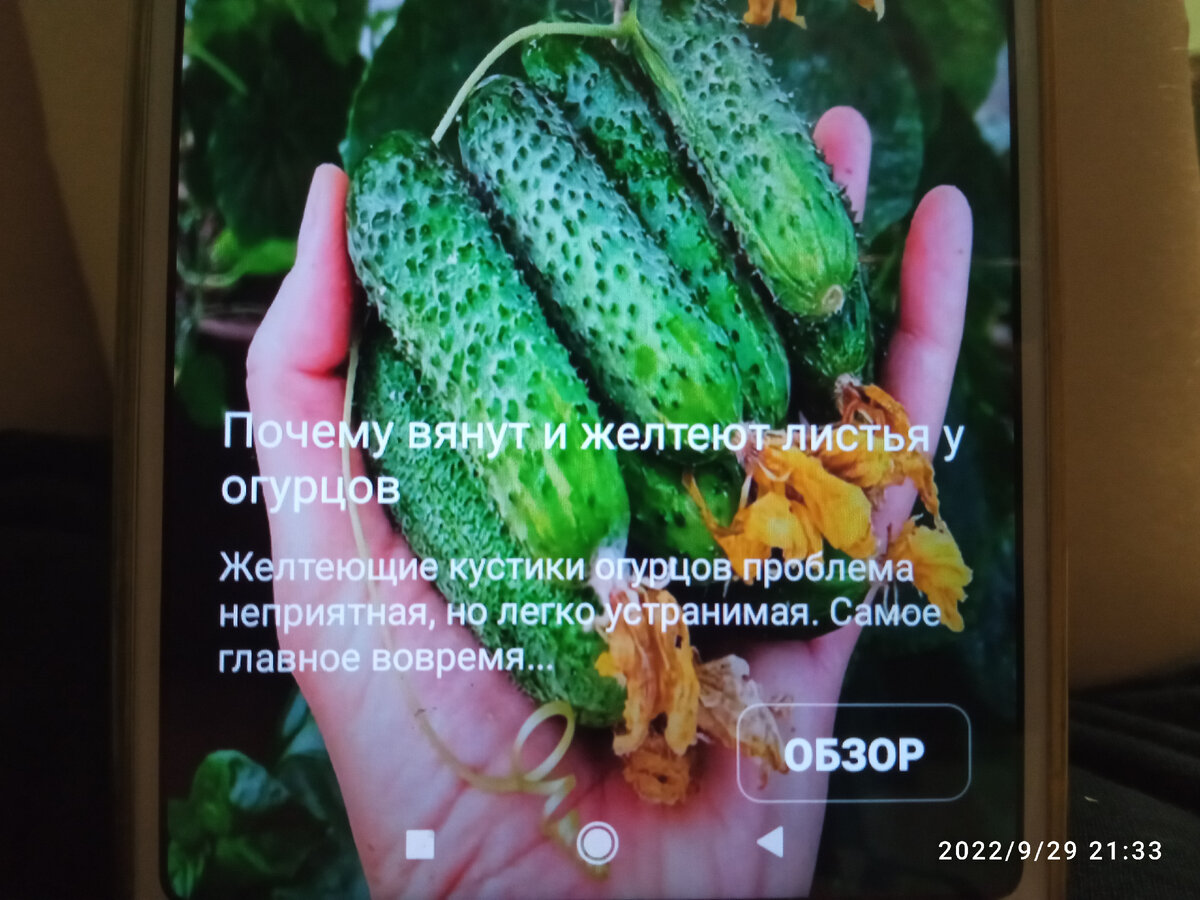 Это карусель обоев