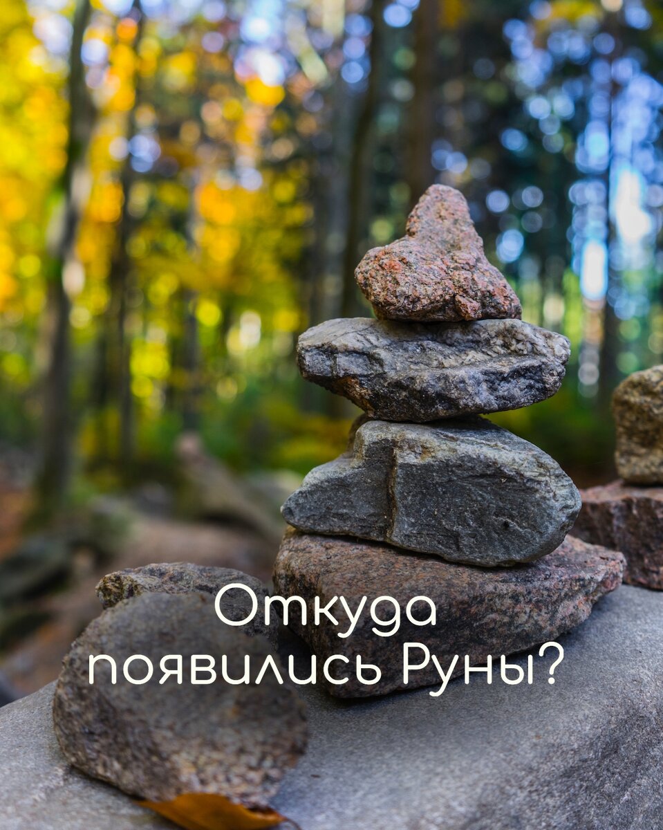 #дарьяvidvas 