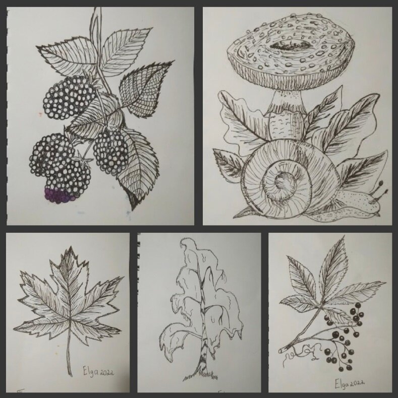 Темы 10-14 арт -марафона по списку от Кати Казаковой АКВАРЕЛЬ ГРАФИКА ИЛЛЮСТРАЦИЯ