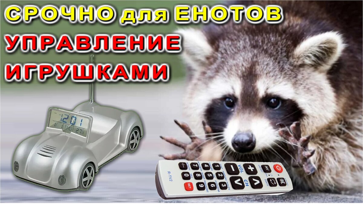 Поможем Енотам