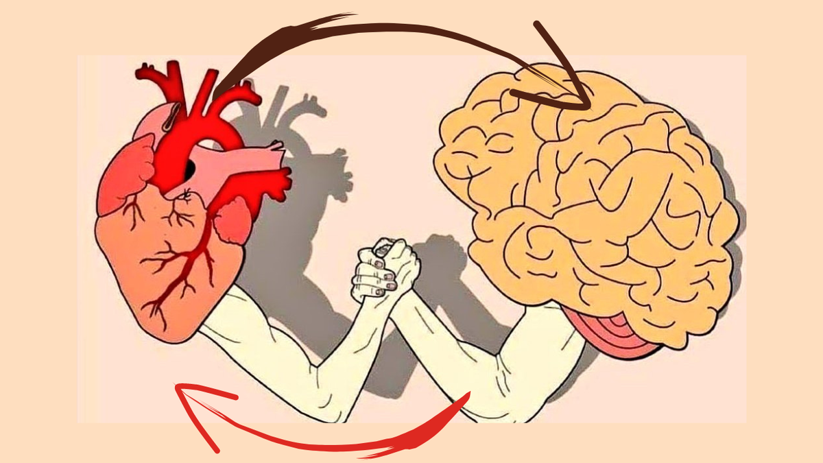 Мозг в сердце – оружие против стресса | Надежда для сердца | Дзен