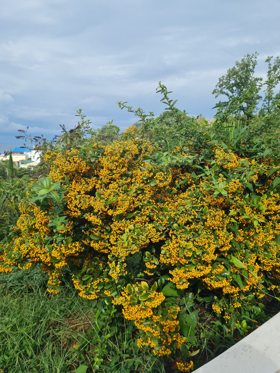 Фото для обложки