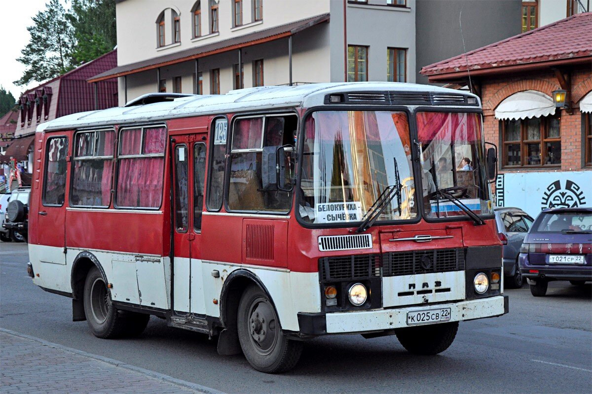 ПАЗ-3205 – самый популярный павловский автобус | Колёса: настоящее вчера |  Дзен