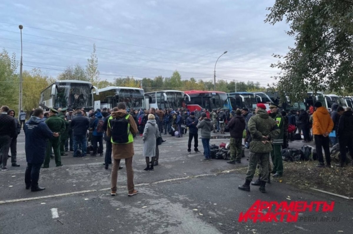    В Минсоц Прикамья за помощью обратились 1754 семьи мобилизованных