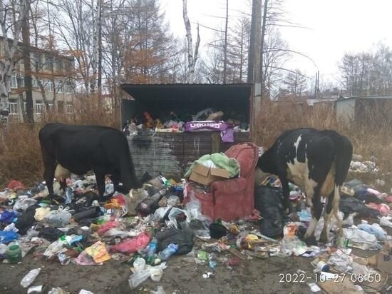     В поселке Хабаровского края жалуются на скопившийся мусор рядом со школой Фото: KomChtivo