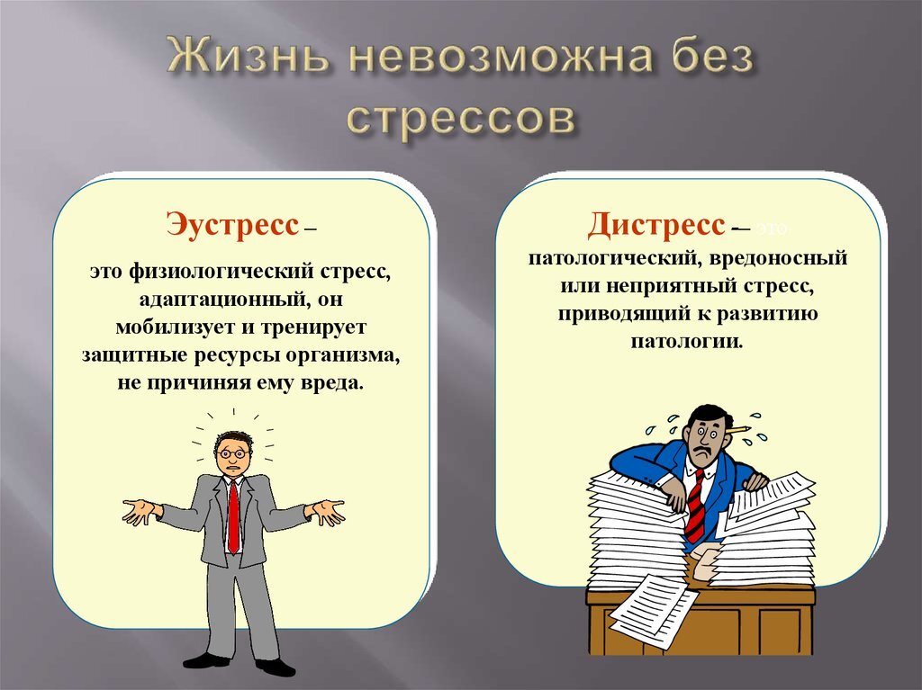 Взято на Яндекс картинки.