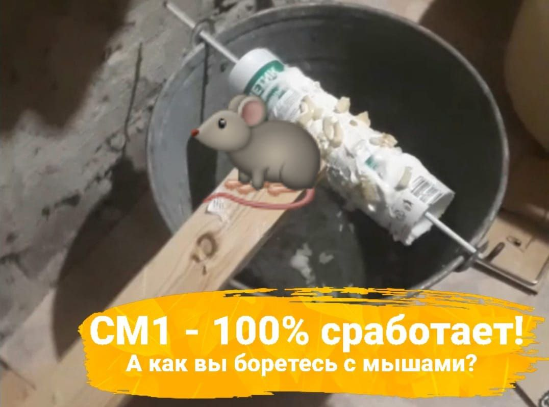 🐀Осторожно МЫШИ! Гуманная ловушка для мышей и крыс 🐭