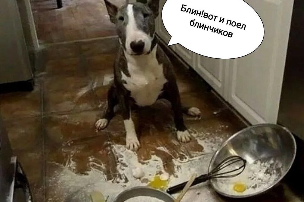     История блина, который докатился "комам" (или все же "комом"?) из печки в эвфемизмы