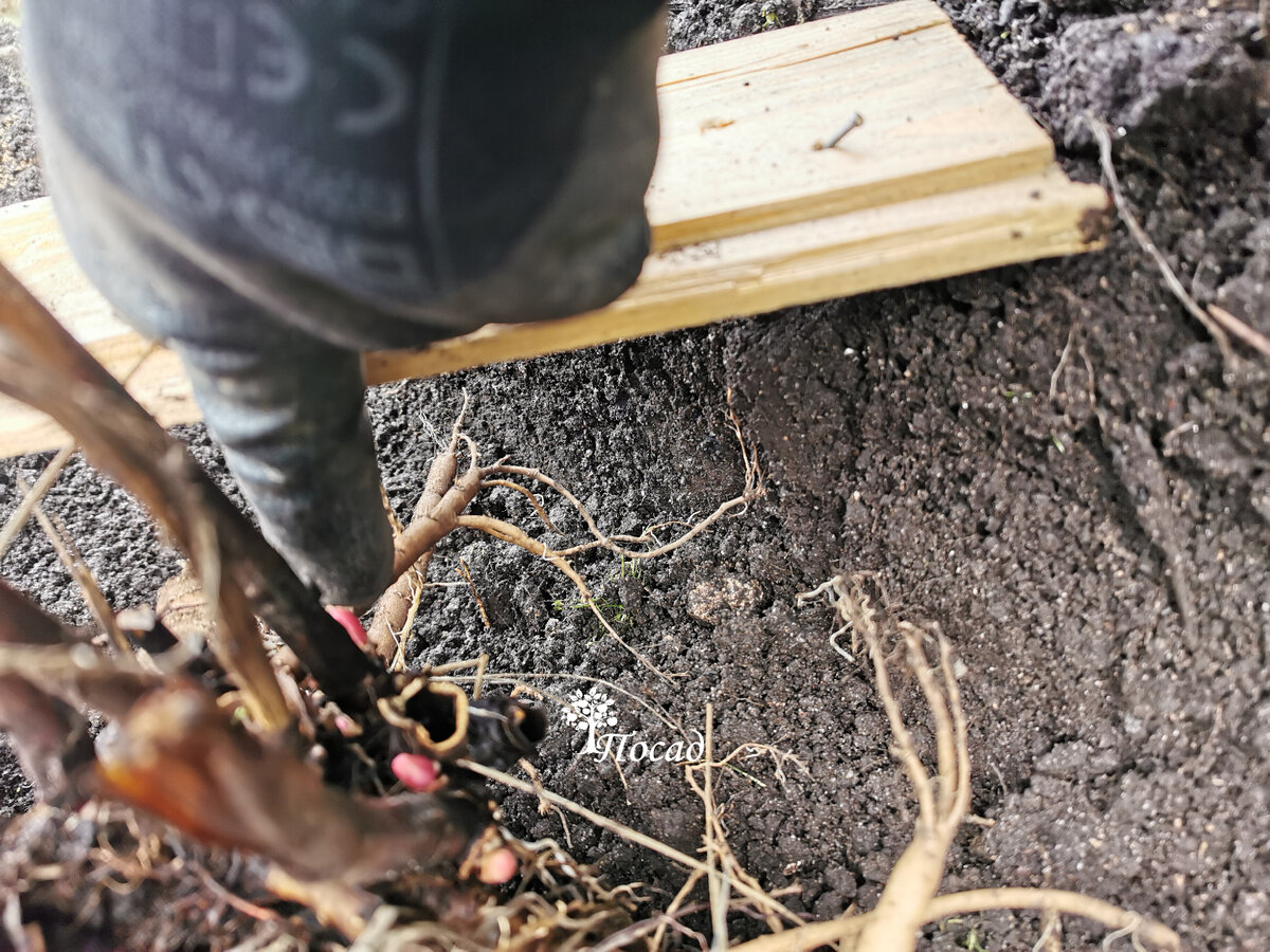 Объяснение сего феномена дальше в тексте.