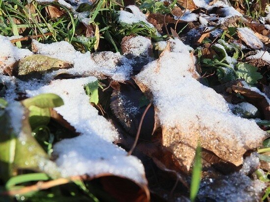   Наталия Губернаторова