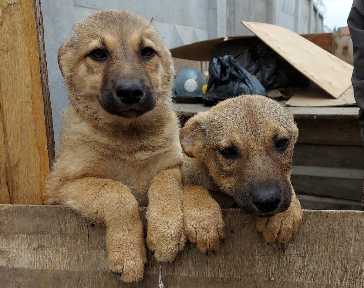 Фотография из личного архива