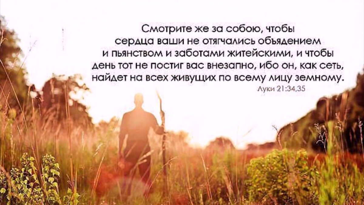 Дела житейские 3 содержание чем закончится. Иногда неприятности случаются во благо а мечты. никогда ни о чем не сожалей иногда. иногда мечты не сбываются к лучшему. ни о чем не сожалею.
