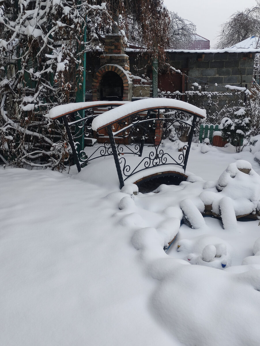 Зима вернулась. 