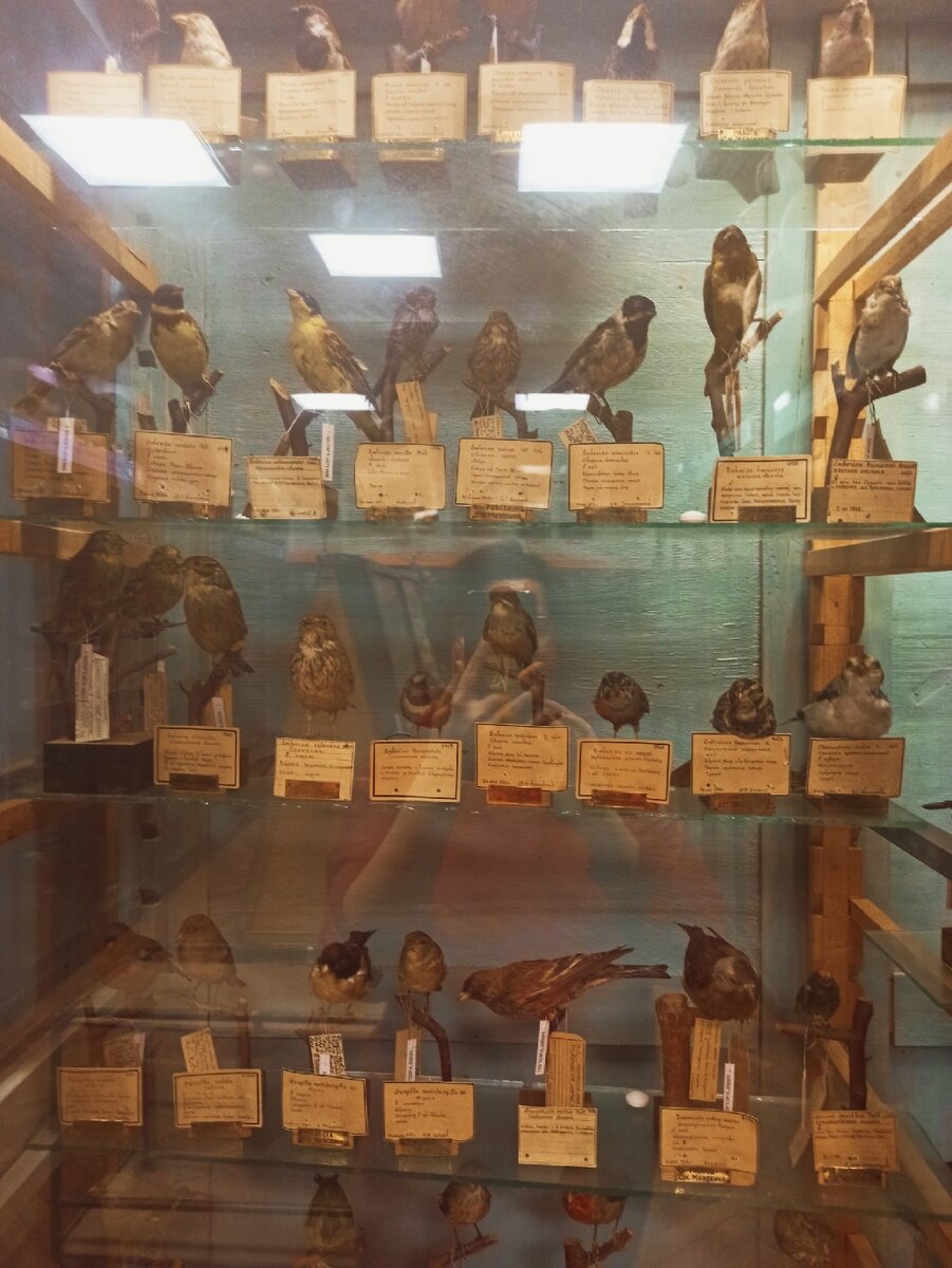 Больше фото: https://vk.com/russia_country_of_scientists?z=album-181715945_287968704