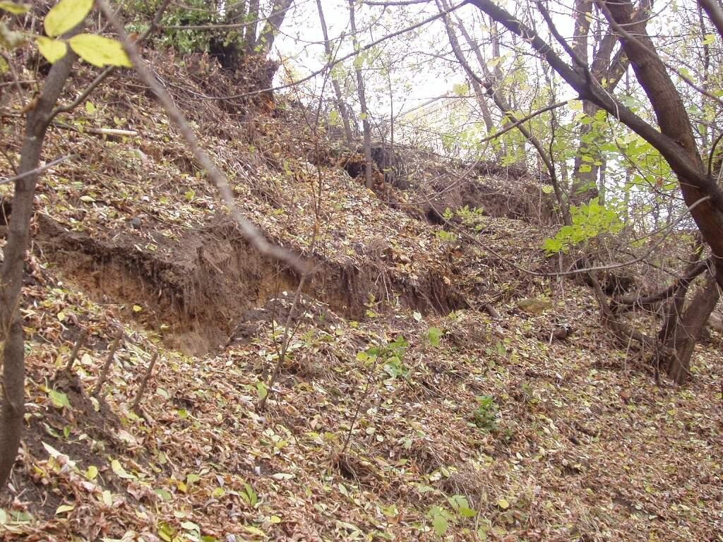 На фото хорошо видна трещина закола - признак активного оползня