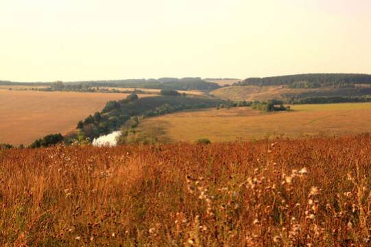    В Орловской области беспилотник атаковал нефтебазу