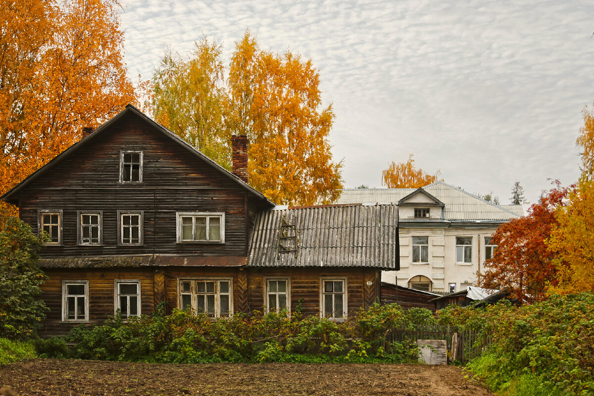 Вельск. Часть II. Тихая Россия, и мужики с трубками | Путешествия с  собаками | Дзен