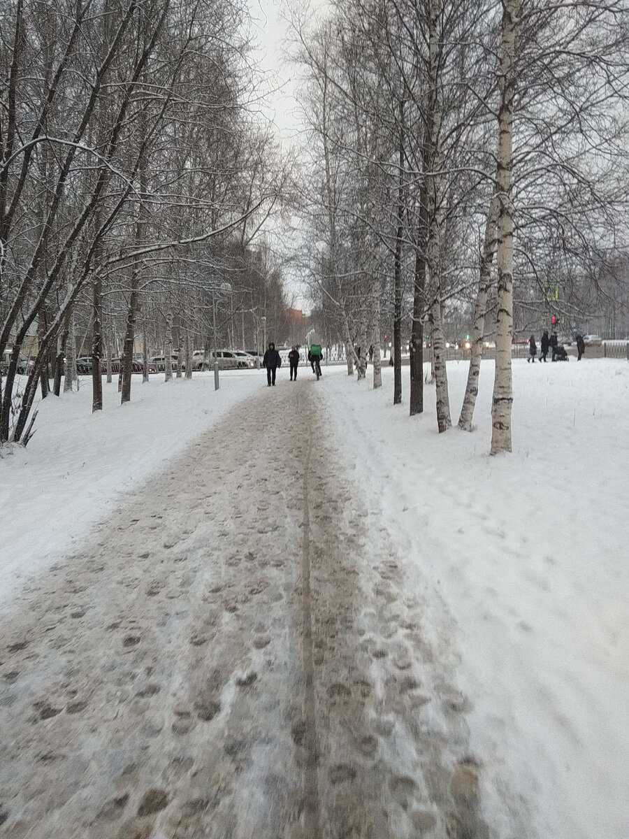 Вторая неделя ноября. Снег тает, +2. Ребята из Яндекс.Доставки и "Деливери" шустро гоняют на велосипедах)))