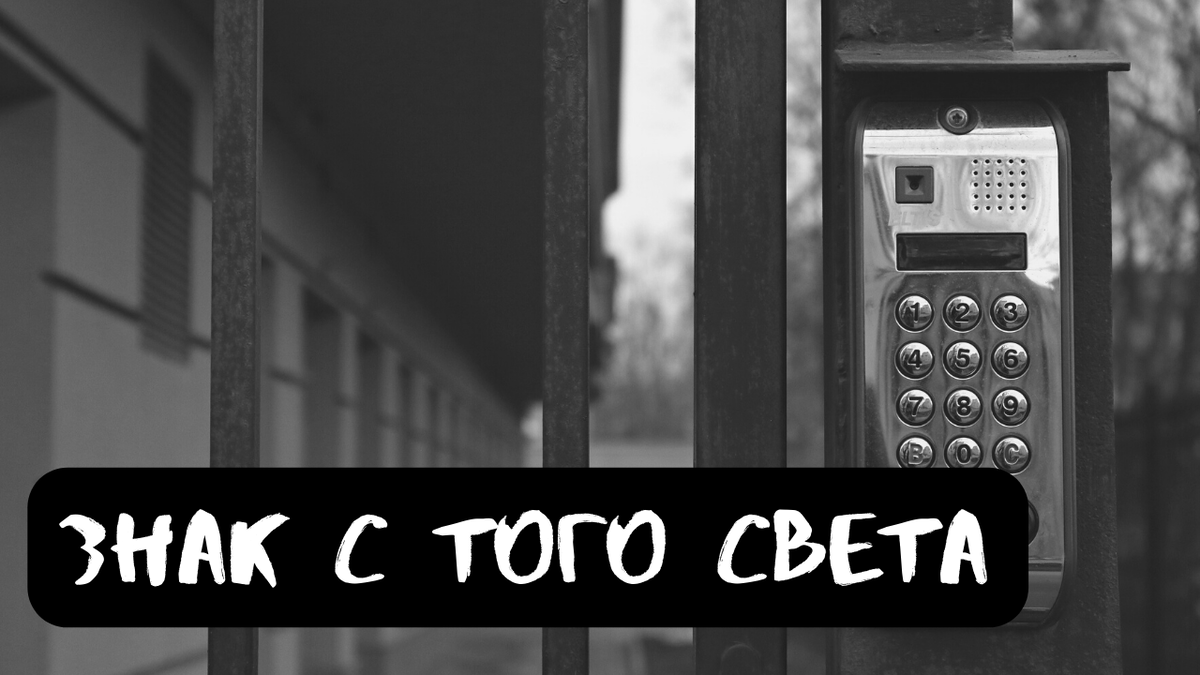 Знаки с того света | Страшилки от Чеширки | Дзен