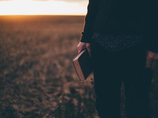     ФОТО UNSPLASH.COM