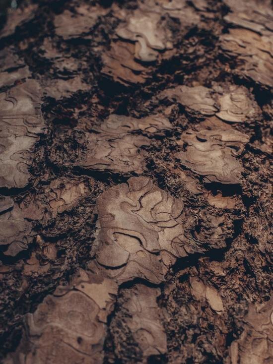     Фото unsplash.com