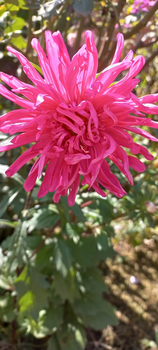 Вроде и хороша, но до первого дождя