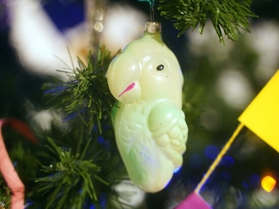     Фото: пресс-служба Псковского музея-заповедника