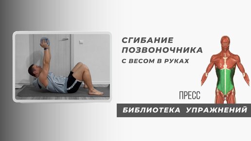 Чтобы увидеть свой пресс - делай это упражнение. Так появляются кубики на животе.