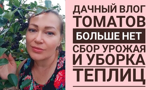 ДАЧНЫЙ ВЛОГ. ТОМАТОВ БОЛЬШЕ НЕТ❌ 🍅 СБОР УРОЖАЯ 🍅🌶️🍆🥒 УБОРКА ТЕПЛИЦ.