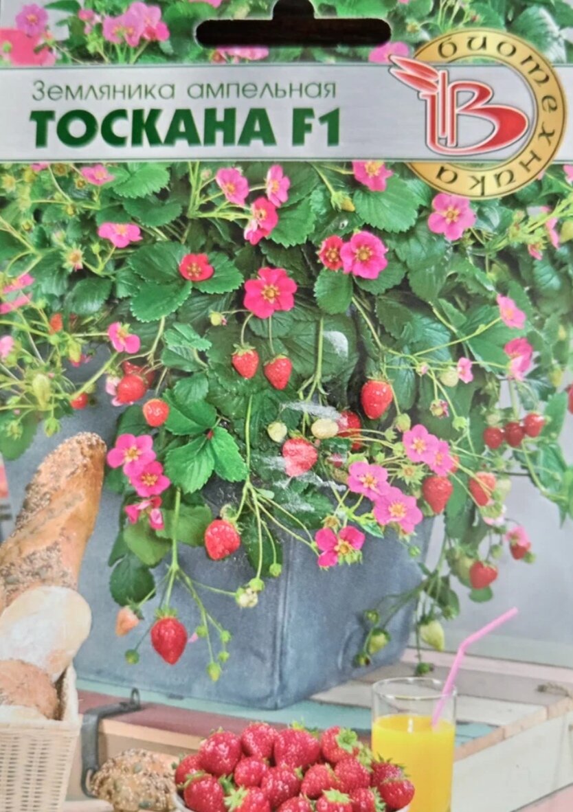  Характеристика сорта Земляника Тоскана 