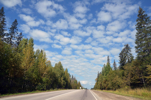 Фото из Google