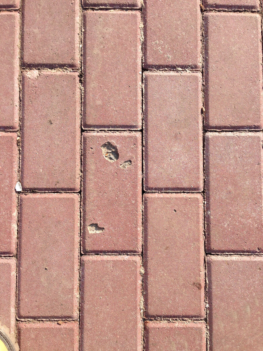 Укладка тротуарной плитки своими руками.