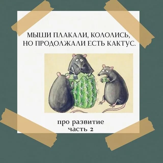 Только полный отказ от наркотика приведет человека к успеху. Только полный отказ от использования яндекс.такси усмирит аппетиты яндекса. 
