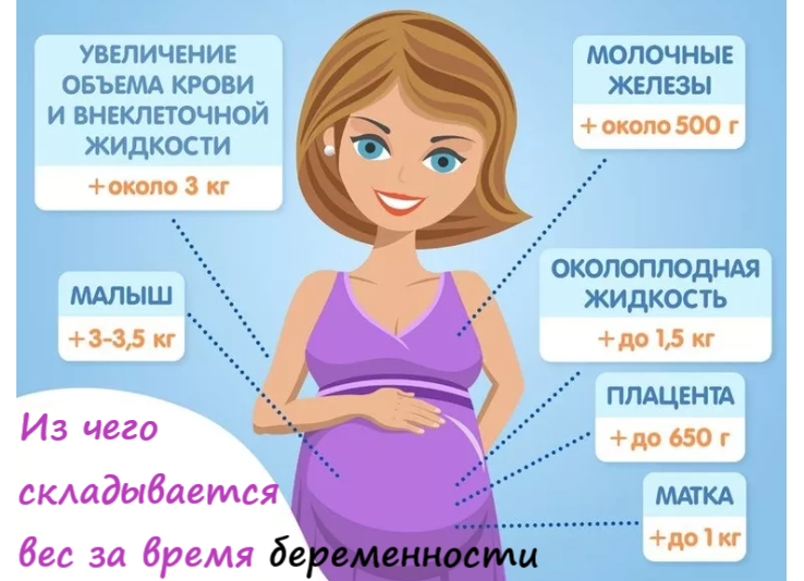 За счёт чего набирается вес во время беременности