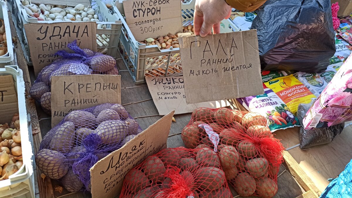 Фотография из личного архива