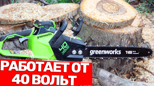 Показываю на что способна и как устроенна аккумуляторная цепная пила Greenworks