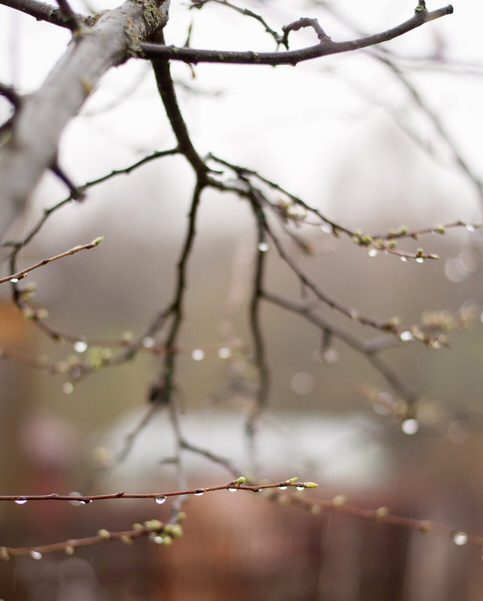 Личное фото