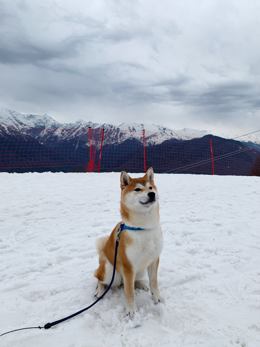 Кики на высоте 1900