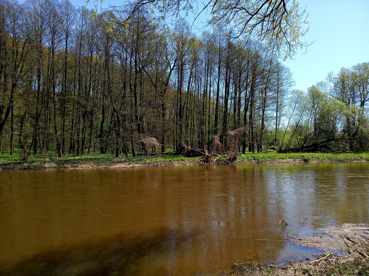 Анграпа 
