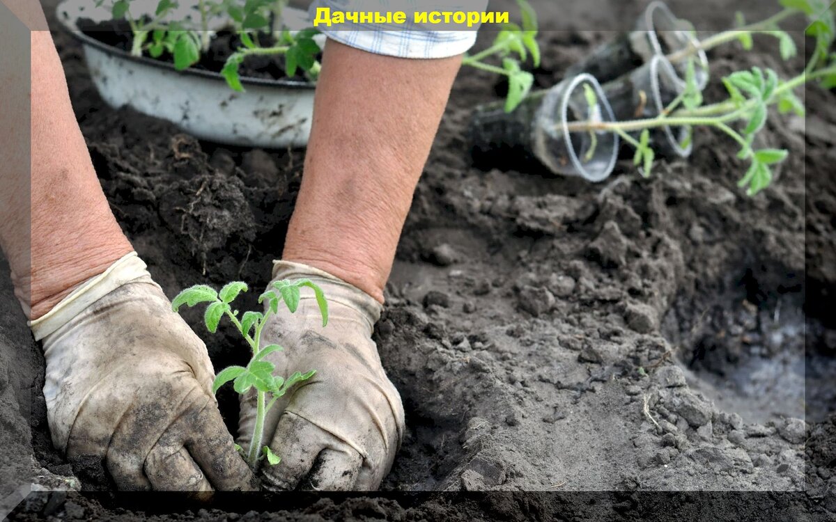 https://vk.com/photo-159774511_457247397