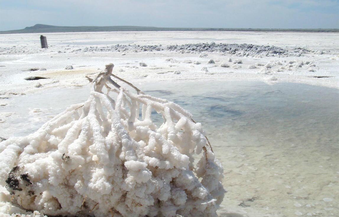 Фото из интернета