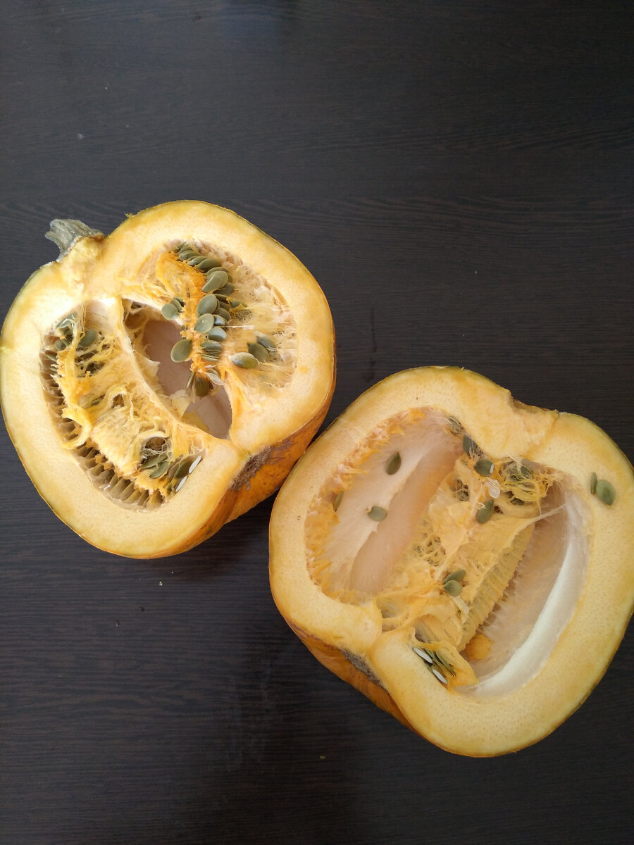 тыква из своего огорода