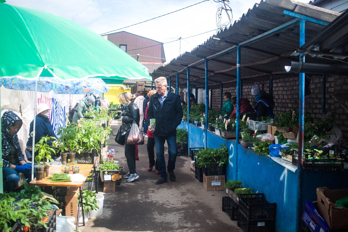 ряды для огородников превратились весной натурально в садовый центр под открытым небом )))