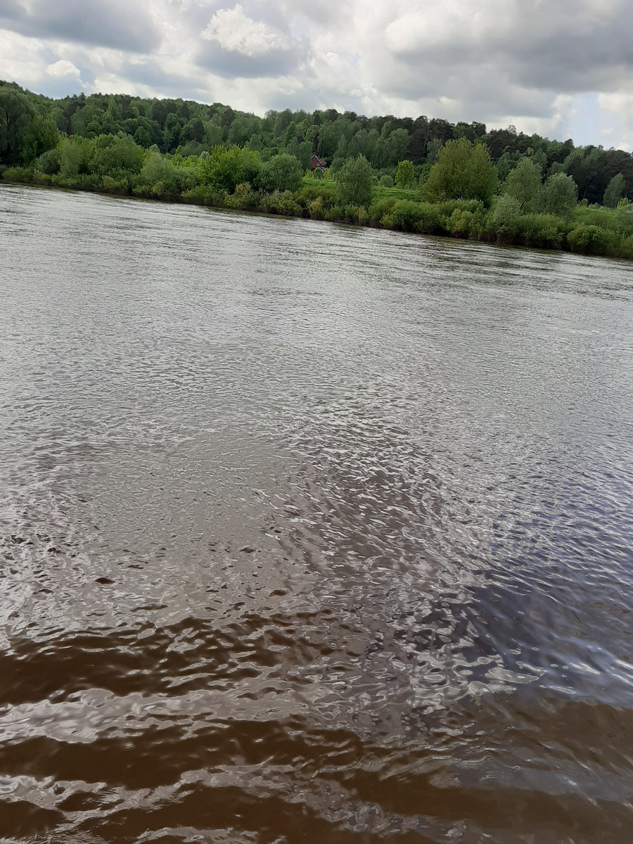Река Ока. Правый берег. Вид с  теплохода. Фото автора.