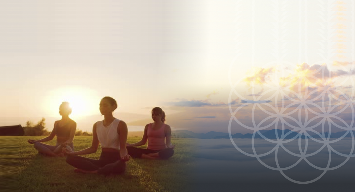 Сообщество Духовной Матрицы "ЦВЕТОК ЖИЗНИ" - Информация о проекте