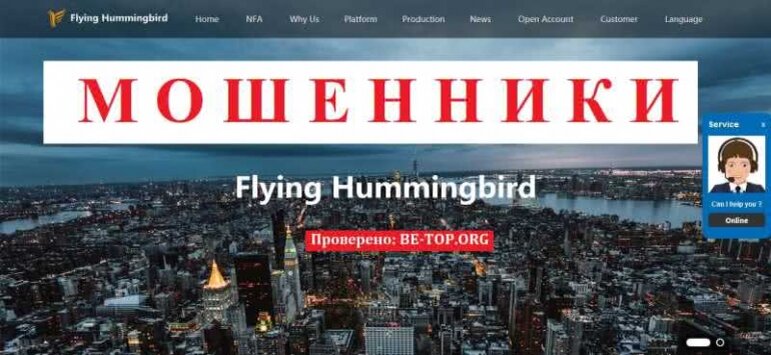 Flying Hummingbird МОШЕННИК отзывы и вывод денег