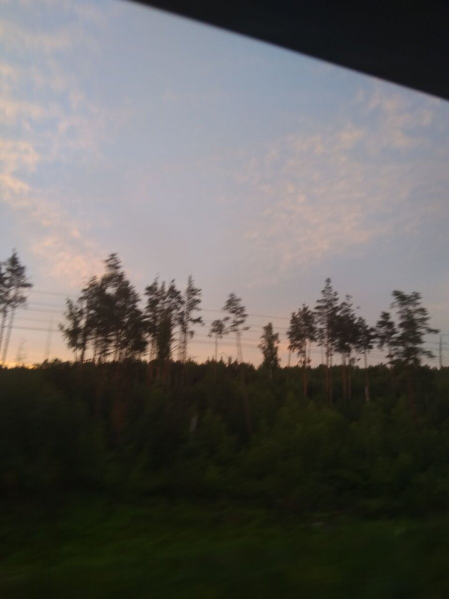 Из окна вагона-ресторана можно было любоваться русской природой на фоне заката