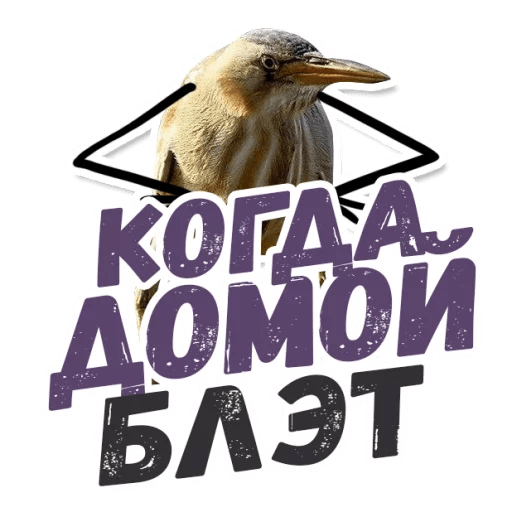 Так блэт. Птичка блэт. Стикер так блэт. Блэт картинка