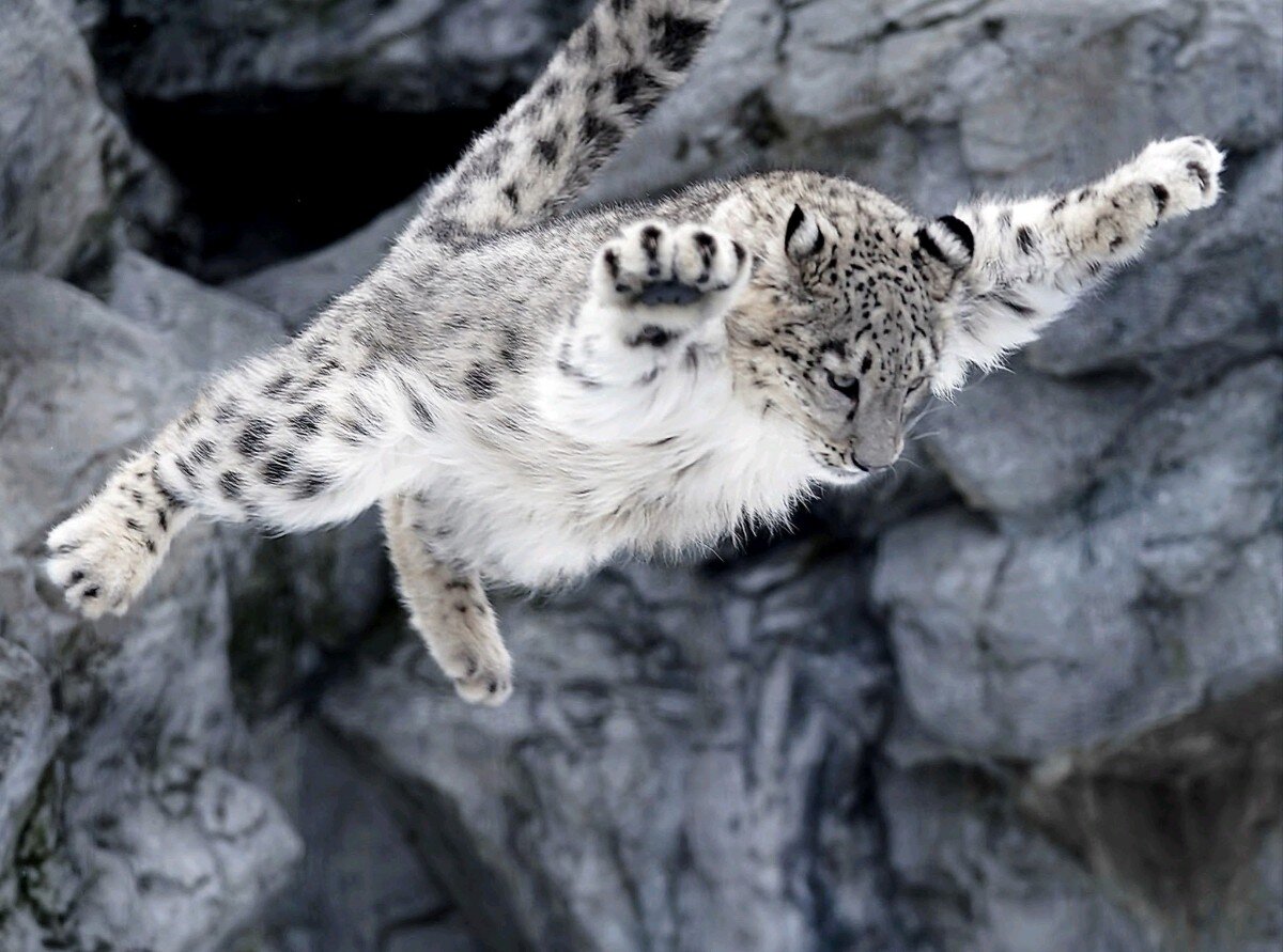 Фото из сети